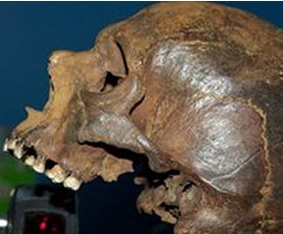 Resultado de imagen de naufragio del "Mary Rose