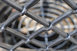 blind bird ellen inga kommentarer upplagd sue av