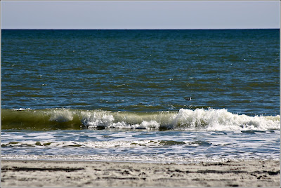 Myrtle Beach February 14, 2019 Meditating on the sky