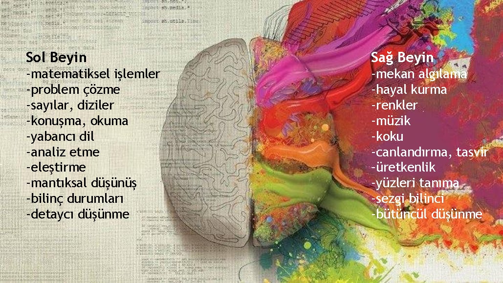 Sosyal Psikolog Duygu Buğa Sol Beyin, Sağ Beyin Sosyal Psikolog Duygu Buğa Sol Beyin, Sağ Beyin