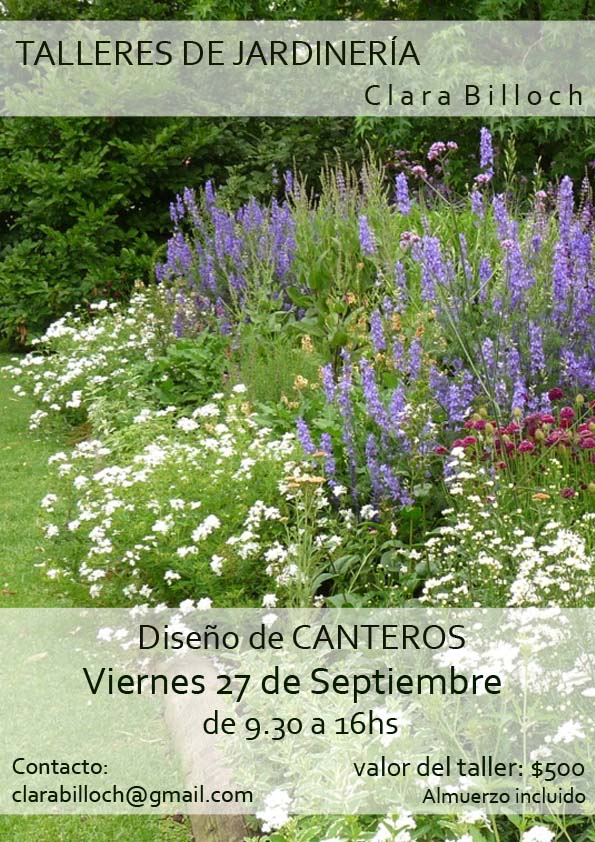 Opinión Humedal crisantemo En el jardin: nuevamente taller de canteros