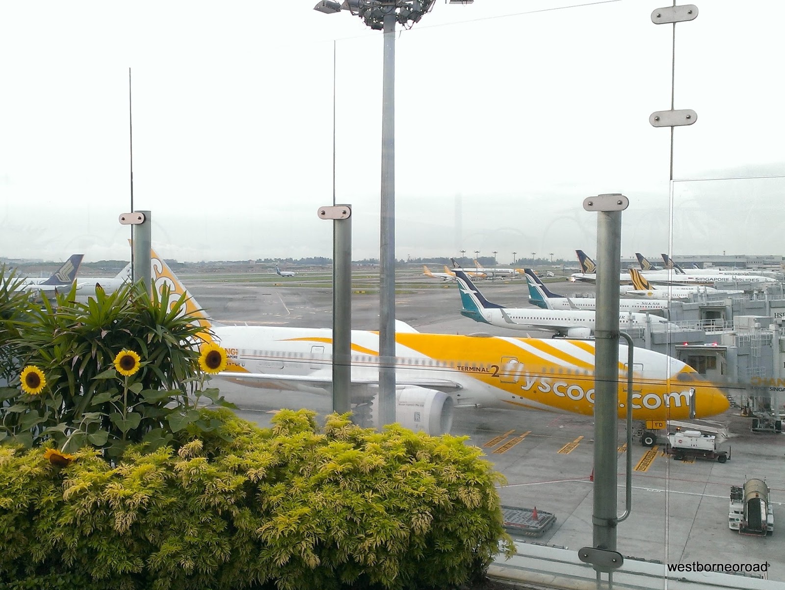 Pengalaman Terbang Singapura Jakarta dengan Scoot West Borneo Road