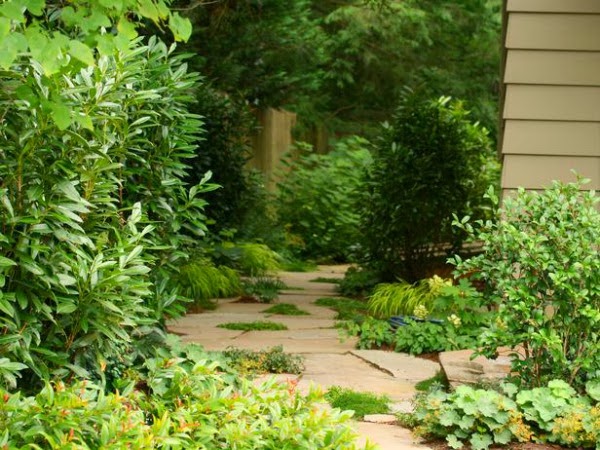 15 ideas para diseñar un camino de jardín - Guia de jardin