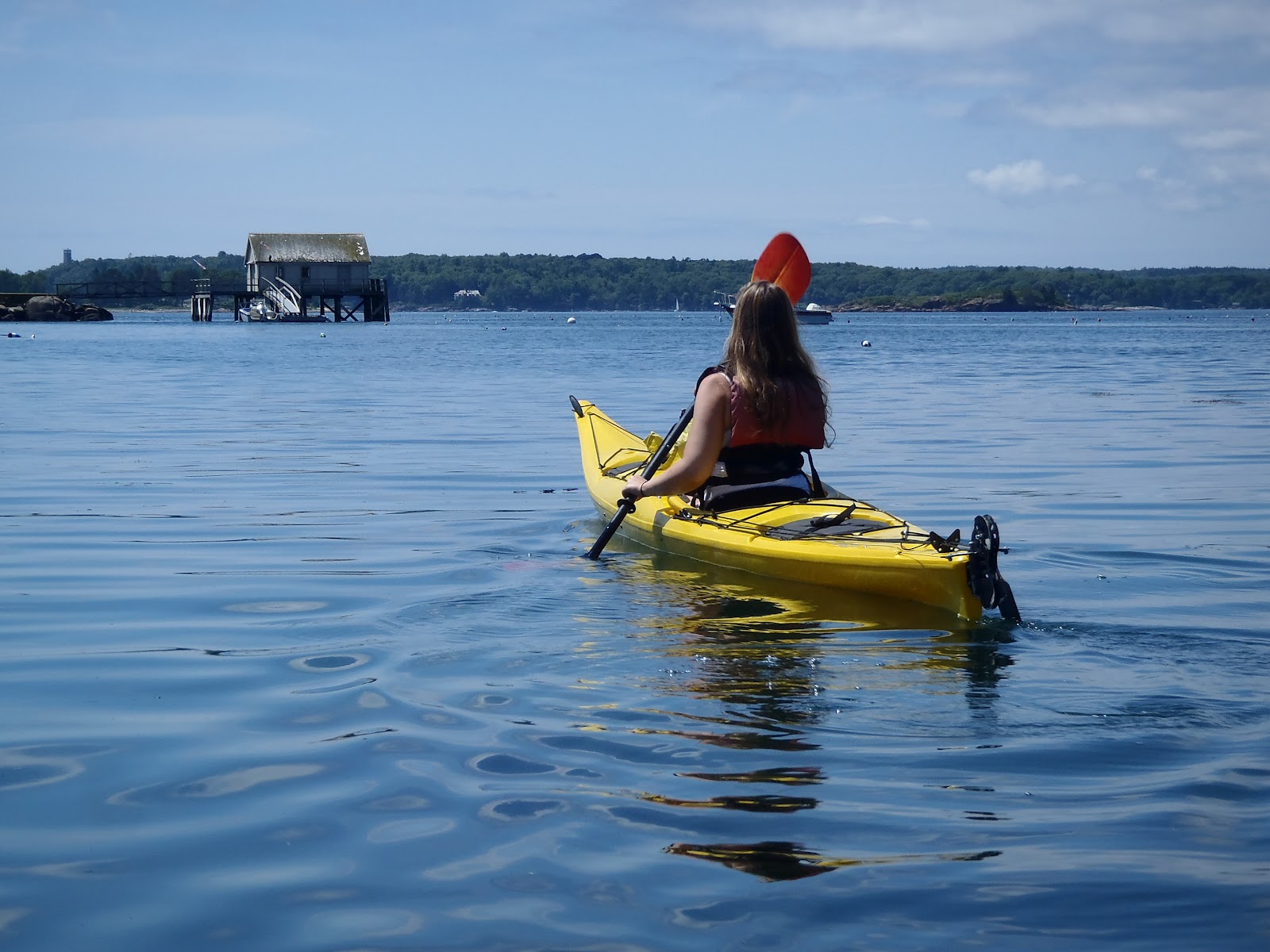 Maine Kayak The Way Paddling Should Be! Sea Kayak Half Day Trip