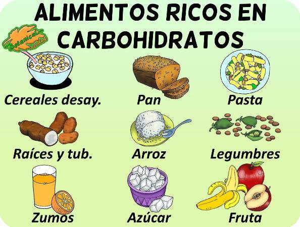 Alimentos ricos en carbohidratos