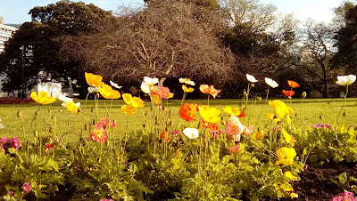 Intercâmbio Nova Zelândia - Albert Park e redondezas