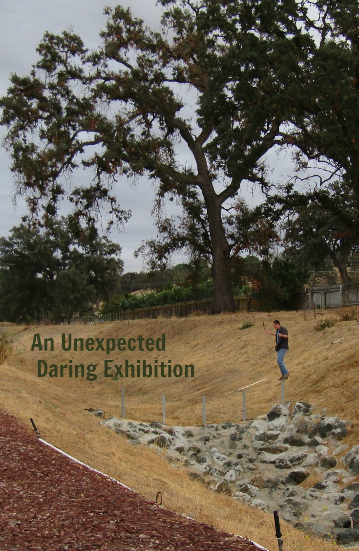 Paso Robles in Photos: An Unexpected Daring Exhibition