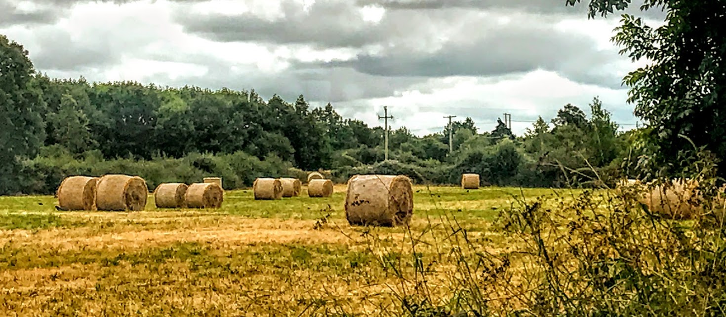 CME Limerick Killaloe Harvest Readings Hymns And Resources For Year cme-limerick-killaloe-harvest-readings-hymns-and-resources-for-year