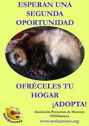 OFRÉCELES TU HOGAR