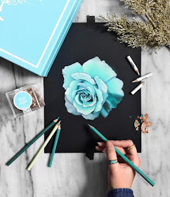 05-Turquoise-Rose-Safanah-Eclectic-Mixture-of-Realistic-Drawings-www-designstack-co