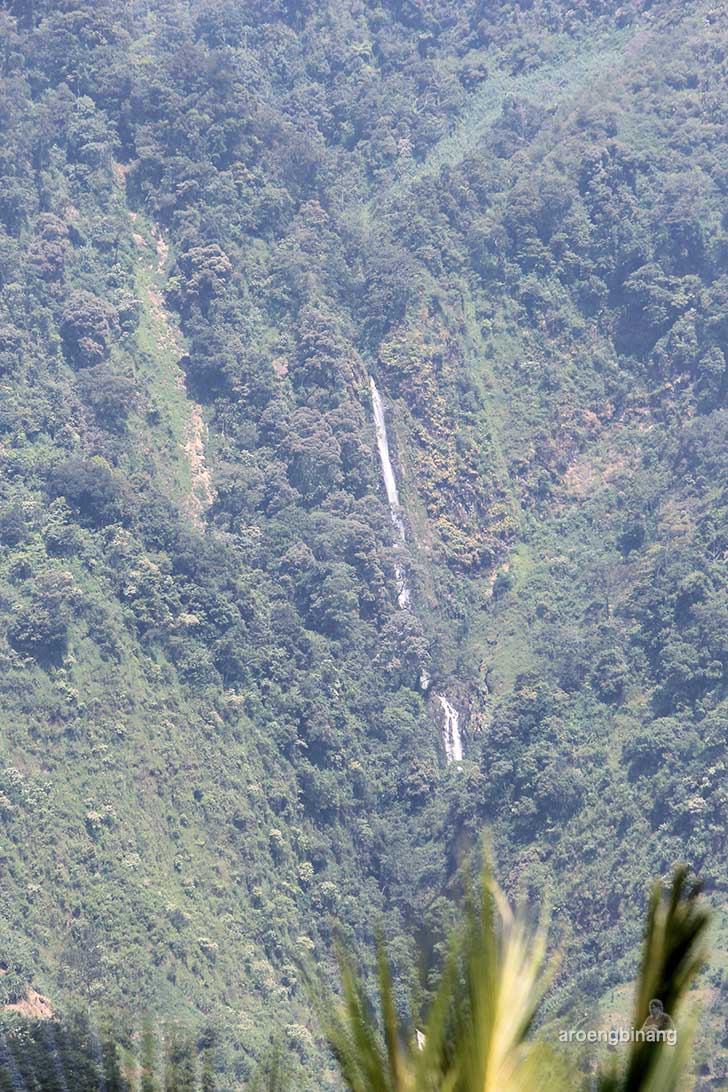 curug bajing petungkriyono pekalongan