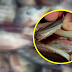 Nakakatakot Na Dahilan Bakit Sobrang Delikado Para Sa Kalusugan Ang Pagkain Ng Tilapia
