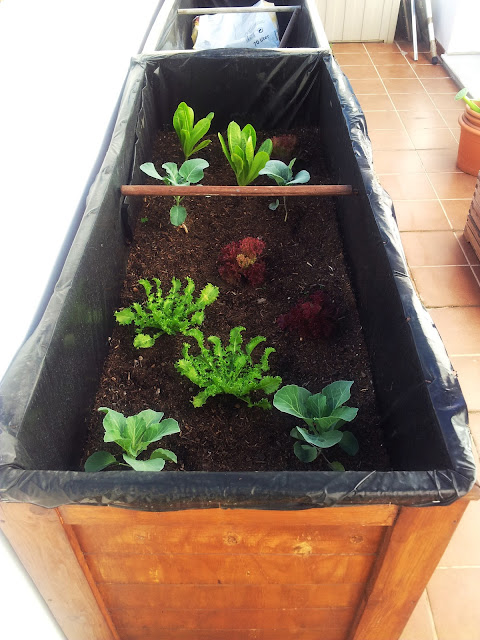 bricolaje y aeromodelismo de Pepe Boscá: Bricolaje.-Huerto en la terraza