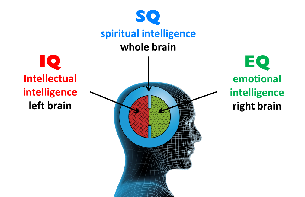 A inteligência, como atributo mestre do espírito, orienta os demais, apurando-os e contribuindo para torná-los melhores e mais eficientes.