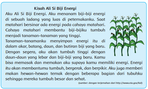 Soal UTS Kelas 4 Tema II Selalu Berhemat Energi Kurikulum 2013 Soal UTS Kelas 4 Tema II Selalu Berhemat Energi Kurikulum 2013