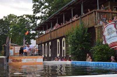 Dog Days Bar & Grill, Lake of the Ozarks, Canine Cannonball