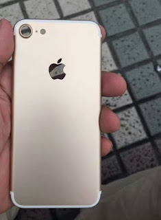 Back view of iPhone 7 
