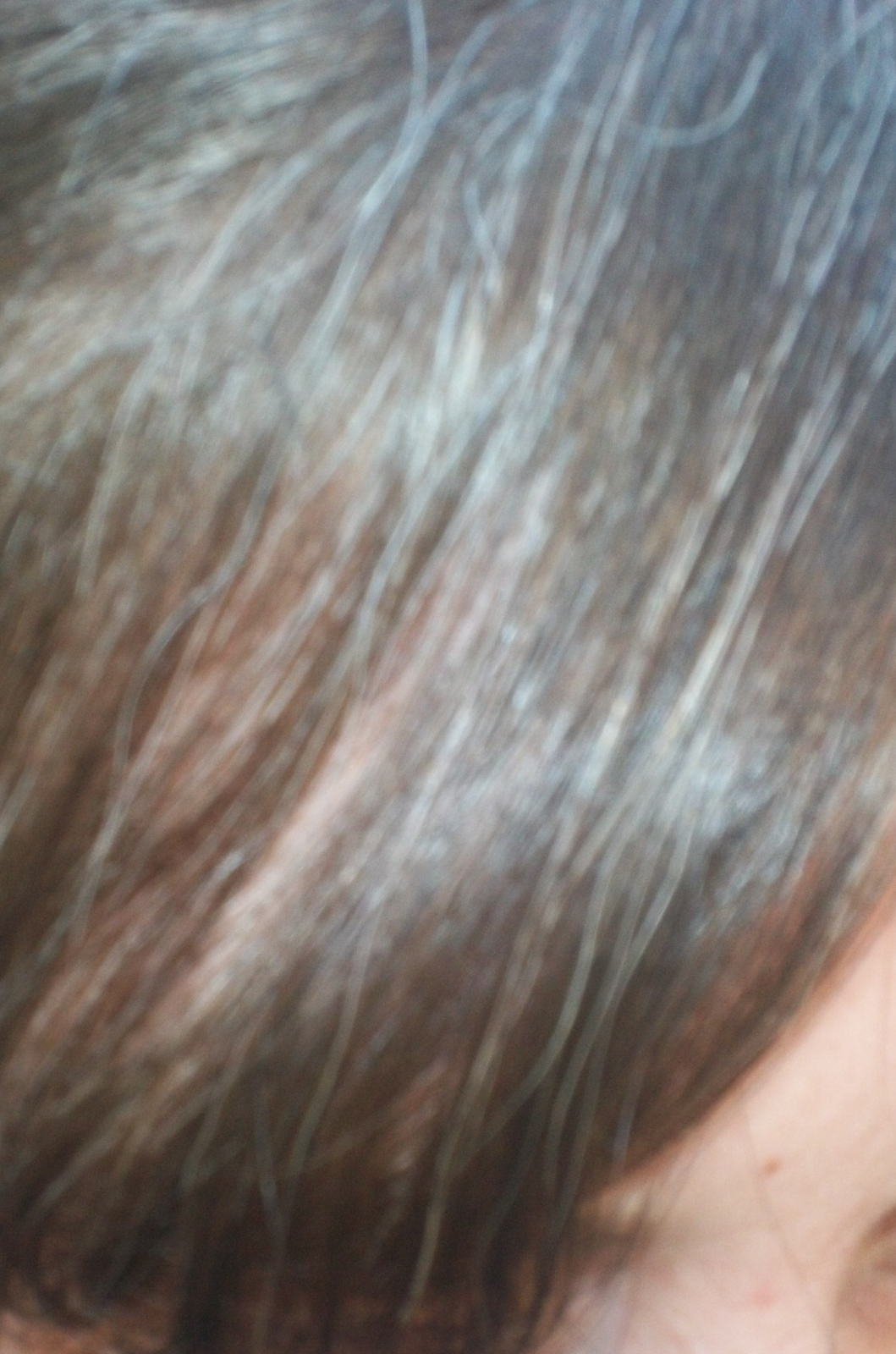 Natural health and beauty experiments + reviews Black walnut hull powder hair dye/ tint for