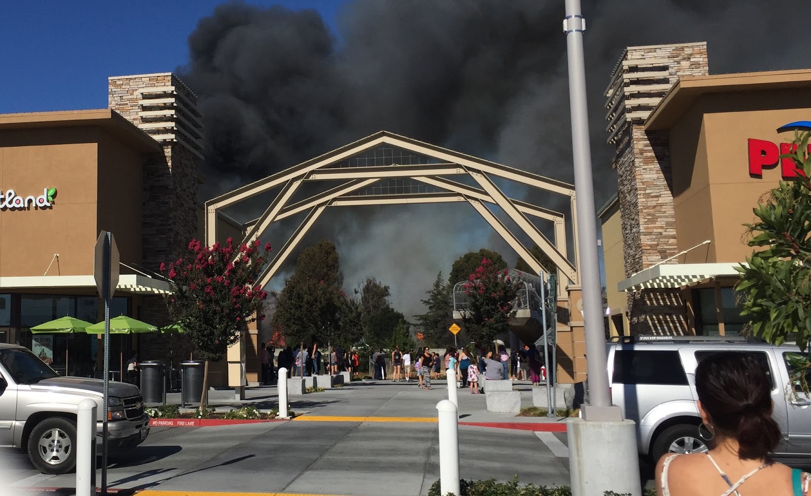 MEC&F Expert Engineers A fastmoving fire in Petaluma burned multiple