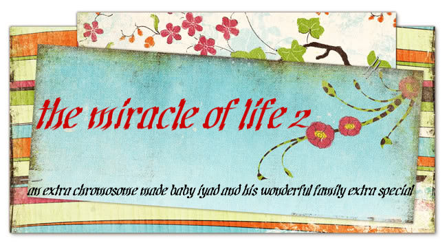 the miracle of life 2