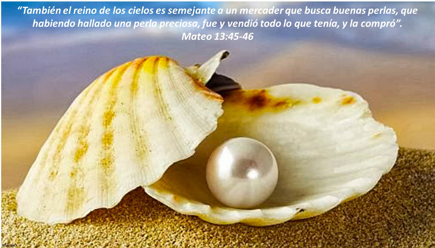La perla de gran precio (Mateo 13:45-46) ~ Mundo Bíblico: El Estudio de