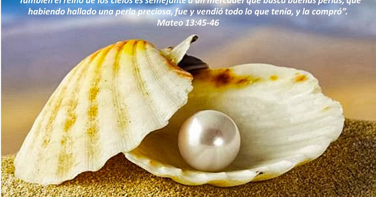 La perla de gran precio (Mateo 134546) Mundo Bíblico El Estudio de