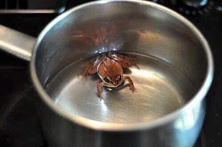 Moraleja de la rana en una olla de agua caliente
