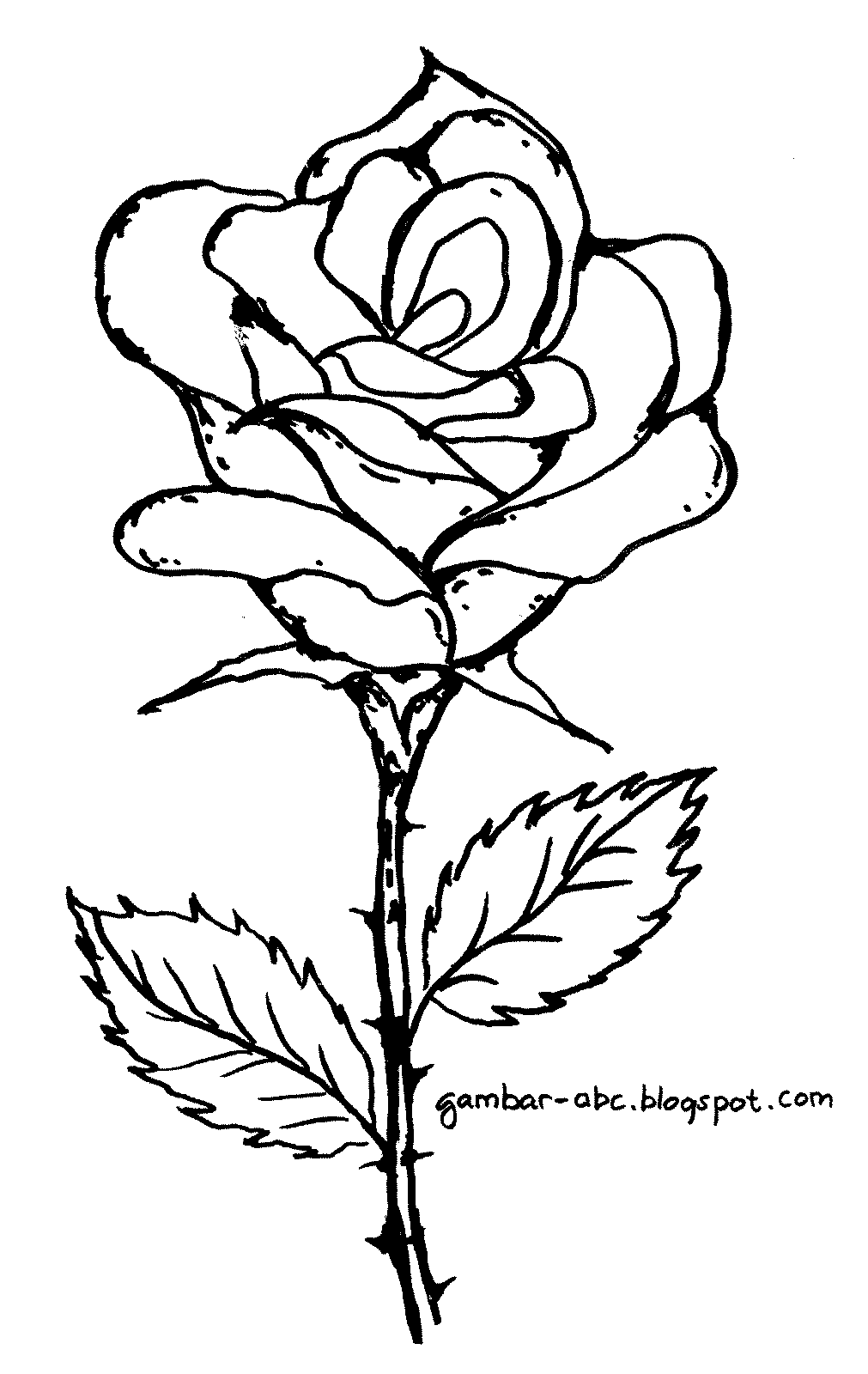 Bunga Mawar - Contoh Gambar Mewarnai