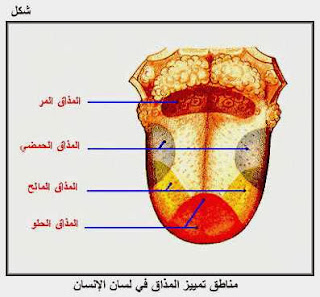 نوفمبر 2013 المدون للعلوم و المعلوميات المدون للعلوم و المعلوميات