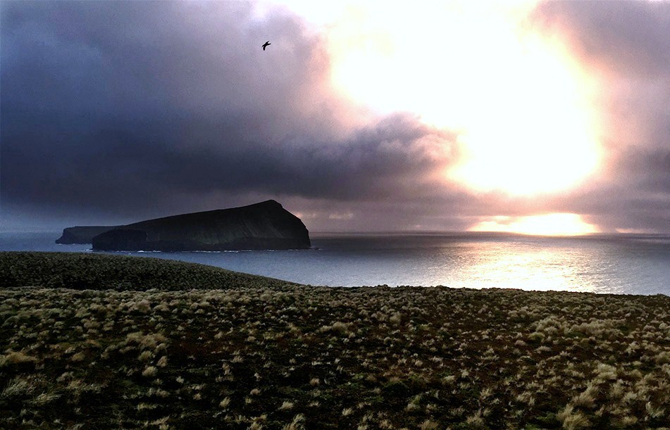 Ultima Thule Antipodes Islands hostile and barren, the first land to