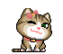 Animasi Kucing Lucu