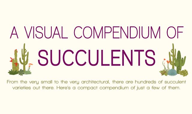 Image:A Visual Compendium of Succulents