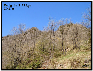 Siguenos en Facebook