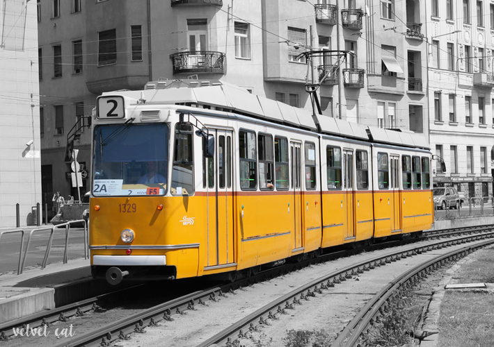 Descubriendo Budapest fotografía