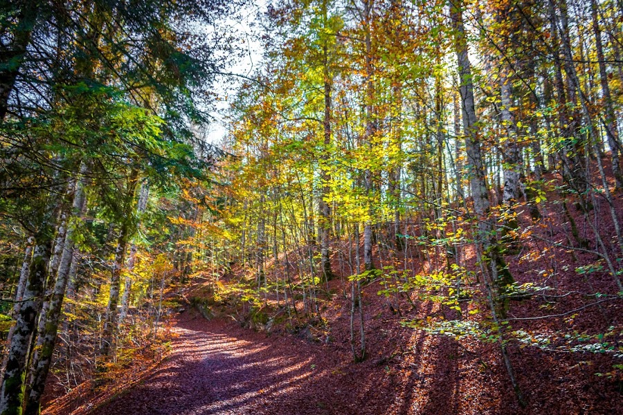 España, Navarra, Pirineo