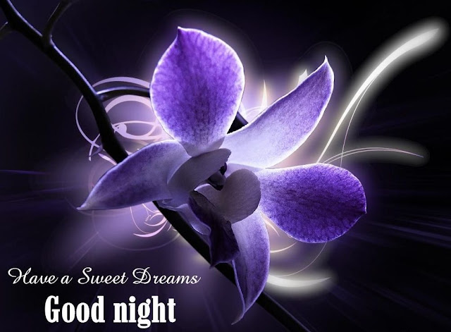 good night images for lover good night images for lover