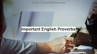 50 Important English Proverbs and Sayings for BA, MA and CSS Exams