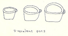 Binowee のsucculent pots