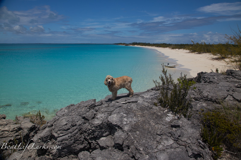 Cat Island Alligator Point and Creek Boat Life Larks SV