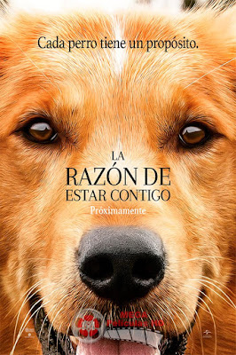La Razón De Estar Contigo La Razón De Estar Contigo