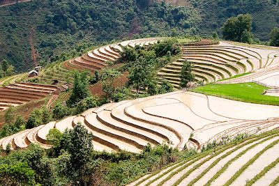 Tempat Wisata Alam Sa Pa Terraces - Vietnam