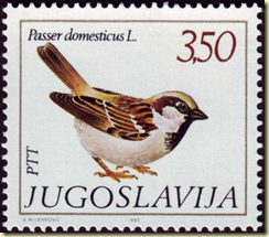 Rainbow Stamp Club: World House Sparrow Day….