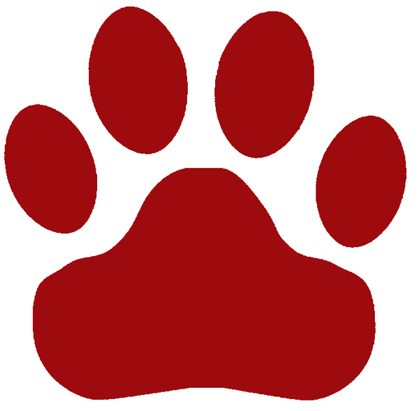 cougar paw pictures cougar paw pictures