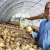 Medical Doctor Sells Practice, Opens Up “Farmacy” Using Food as Medicine