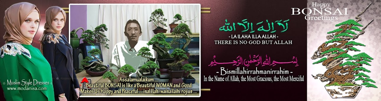 bonsai turkey hijab moslem jilbab islam modanisa fashion