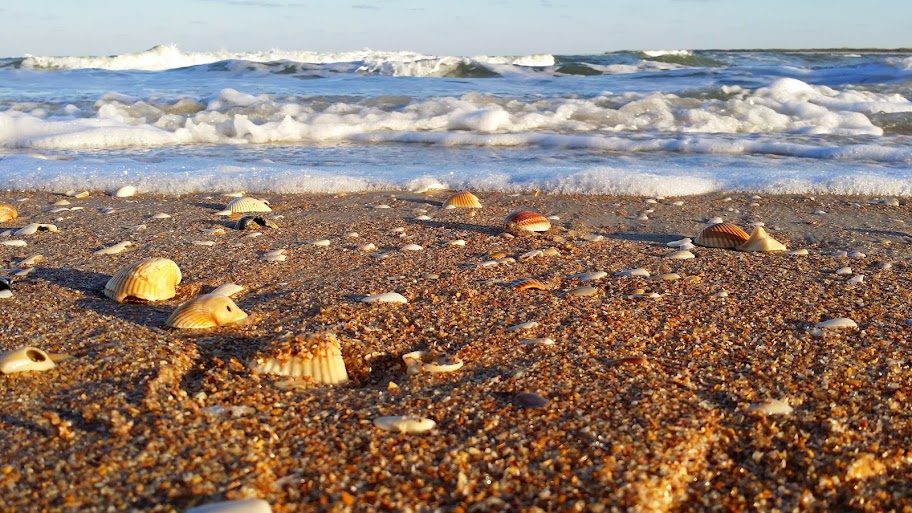 Behind the Bit Vilano Beach photos