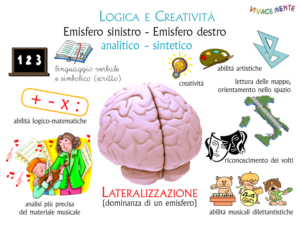 Rai Scuola - sistema nervoso