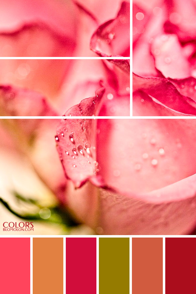 plantilla base paletas de colores 4 plantilla_base_paletas_de_colores_4