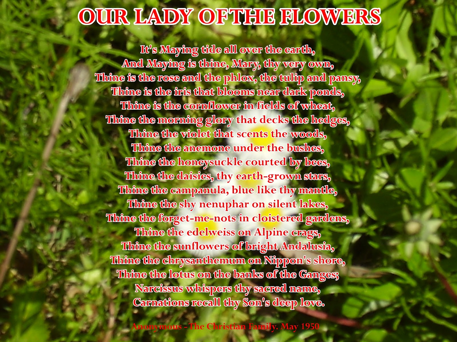 YOU ARE BEAUTIFUL INSIDE OUT Beautiful Mary Our Lady of the Flowers