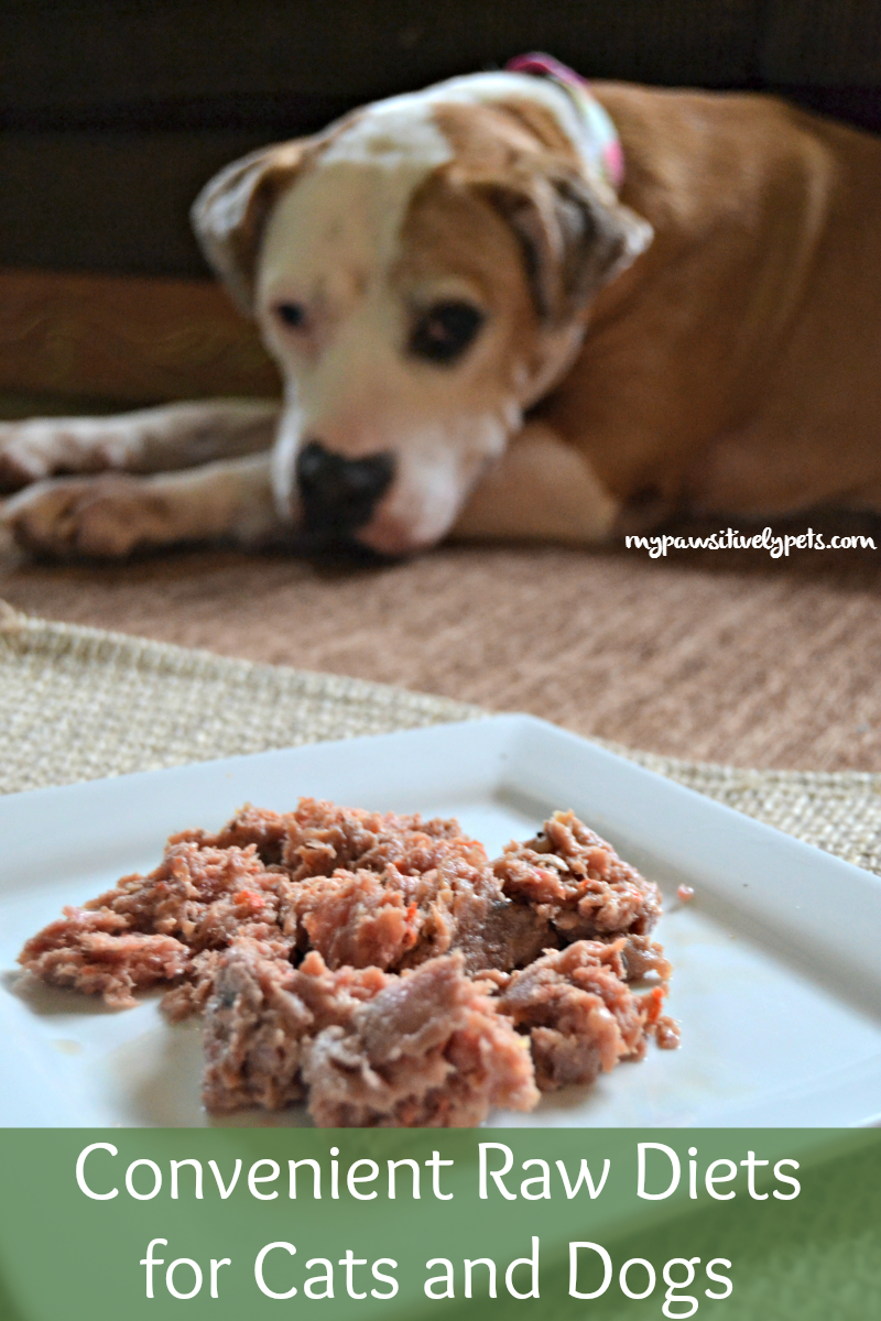 Balanced Blends Offers Convenient Raw Diets for Cats and Dogs